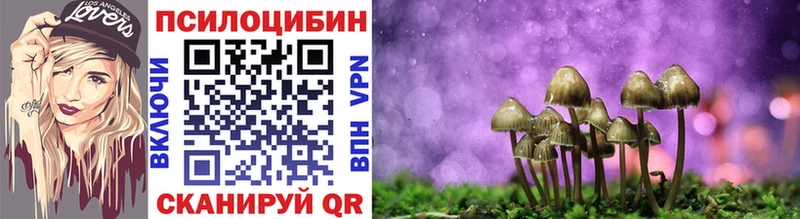 Купить где  Советская Гавань  Галлюциногенные грибы MAGIC MUSHROOMS 